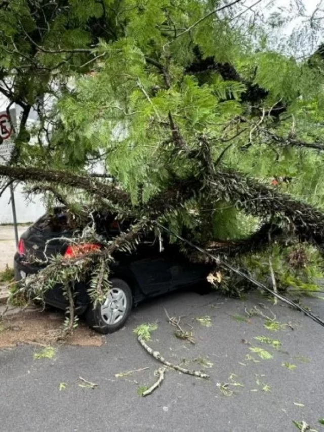 Tempestade deixa cenário de guerra em cidades do RS