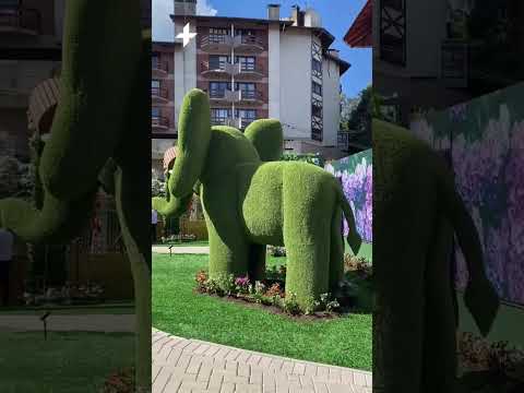 Com esculturas gigantes, atração inspirada em jardim de Dubai abre as portas em Gramado